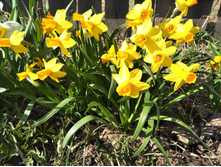 IMG 20170501 151844.jpg