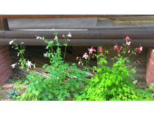 WP 20170630 11 53 09 Pro.jpg