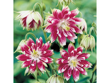 ��������� ���� ������ ����� 9,40 ���.[���.3004938]