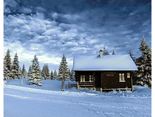 Org ������ ����� 48 �� 38 Ag 356.jpg