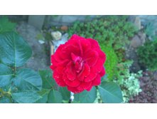 WP 20170820 09 47 00 Pro.jpg