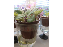 IMG 20170710 103827.jpg