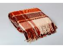 ���20022021 7.jpg