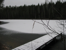 IMG 8077.JPG
