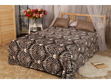 ���� ��������