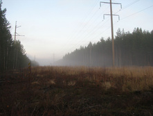 IMG 8039.JPG