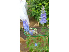 WP 20170709 10 28 55 Pro.jpg