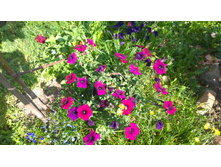 WP 20170820 09 43 22 Pro.jpg