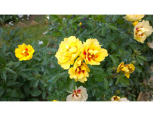 WP 20170721 09 17 52 Pro  highres.jpg