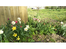 IMG 20170521 164627 pano.jpg