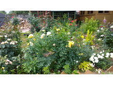 WP 20170721 09 16 05 Pro  highres.jpg