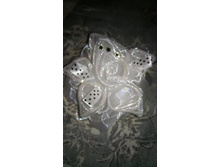 ���� � ��������, 6 ��, ���� 110 ������