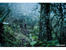 22860119 10213440419821248 5805394598439625264 o.jpg