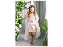 1117	����	1830-	1930