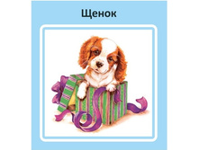 �������� �������� ����� ����������� 24�24 100���� ���������� ����� 22,50.jpg