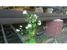 WP 20170626 12 46 10 Pro.jpg