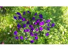 WP 20170820 09 42 53 Pro.jpg