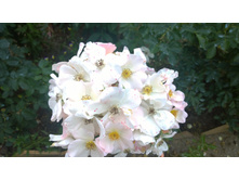 WP 20170811 16 31 07 Pro.jpg