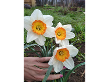 IMG 20170509 134743.jpg