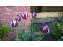 WP 20170528 16 16 39 Pro.jpg