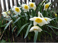 IMG 20170509 135236.jpg