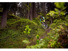 13308091275 6da1be9f2c o.jpg