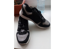 IMG 20171103 122213.jpg