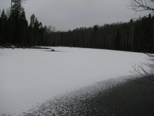 IMG 8059.JPG