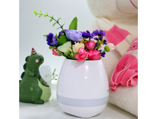 ���.����