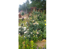 WP 20170721 09 15 44 Pro  highres.jpg