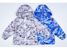 1000��� ���102386.jpg