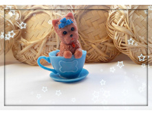 ������� � ������, 120 ���