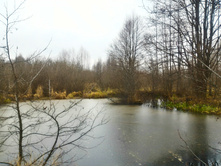 P 20171118 093159 HDR.jpg