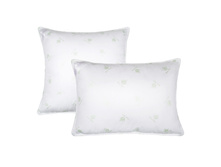 ������� ���� ����.jpg