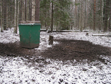 IMG 8056.JPG