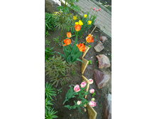 WP 20170521 16 17 37 Pro.jpg