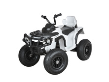 ZHEHUA �������-���������� 12V/10Ah, 35W*2, �������� ������, ����� WHITE ���: ��000032770 �������: 0906 ���, �� 21 �����, �3 0,29 8 886 ���.