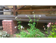 WP 20170630 11 52 59 Pro  highres.jpg