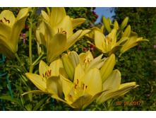 598f1ce31691a dsc1544.JPG