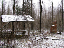 IMG 8051.JPG