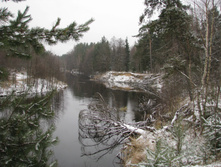 IMG 7604.jpg