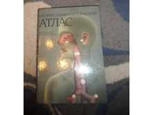 �������������������� �����