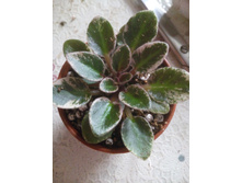 �-��������