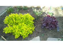 WP 20170521 16 17 46 Pro.jpg