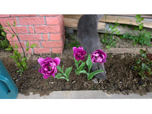 WP 20170527 09 51 47 Pro.jpg