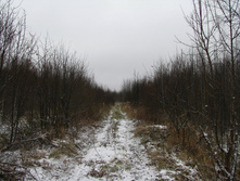 IMG 8057.JPG
