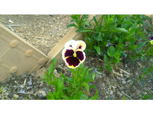 WP 20170527 09 55 01 Pro.jpg