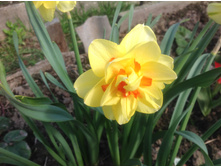 ������� �����