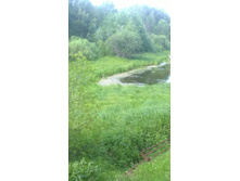 WP 20170628 15 52 53 Pro.jpg