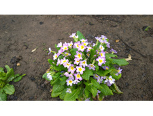 WP 20170508 11 53 00 Pro.jpg